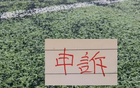还申诉吗？ 北京国安又有争议点球 之前山东申诉成功